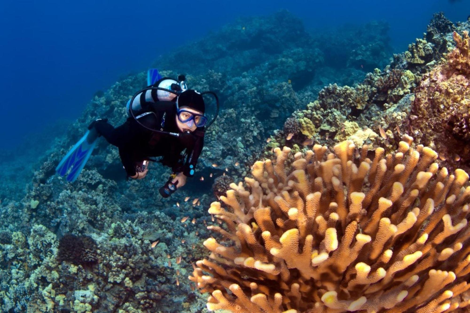 Polynesian Shores 111 Kahana المظهر الخارجي الصورة